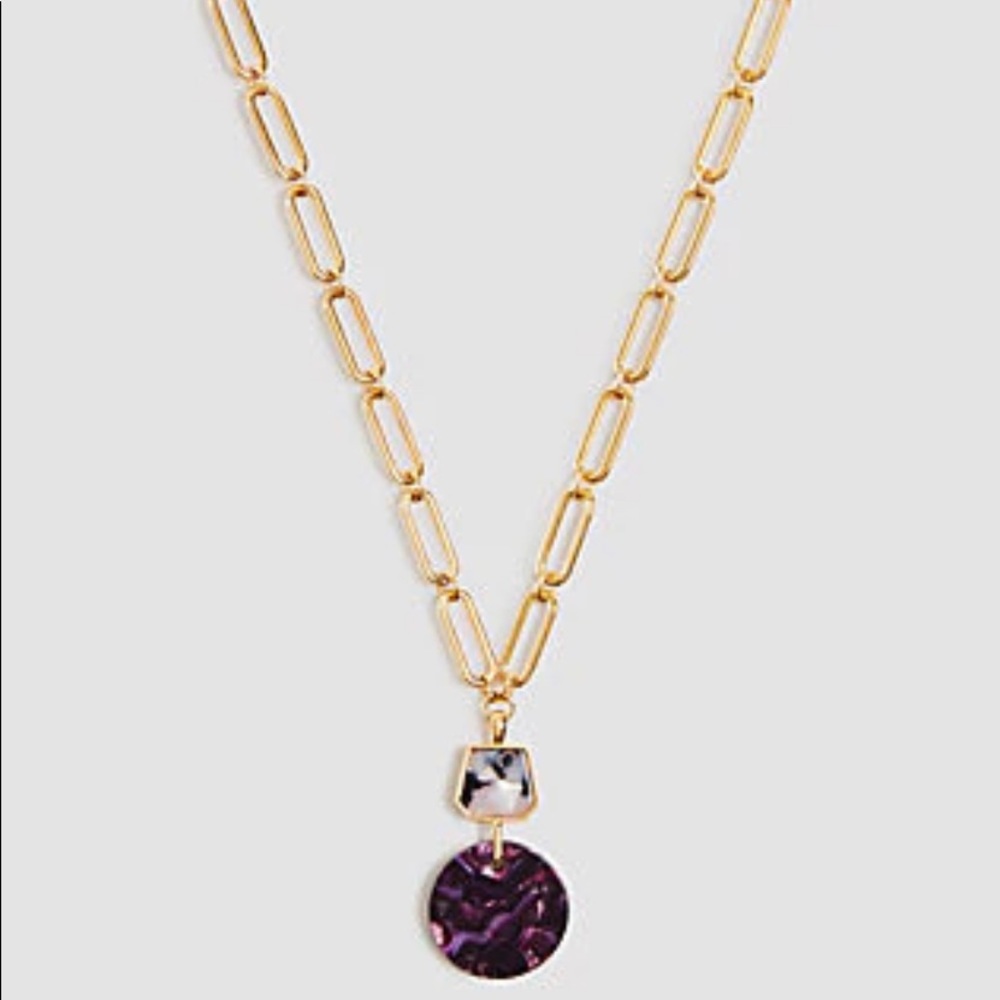 Ann Taylor Tortoiseshell Circle Pendant Necklace